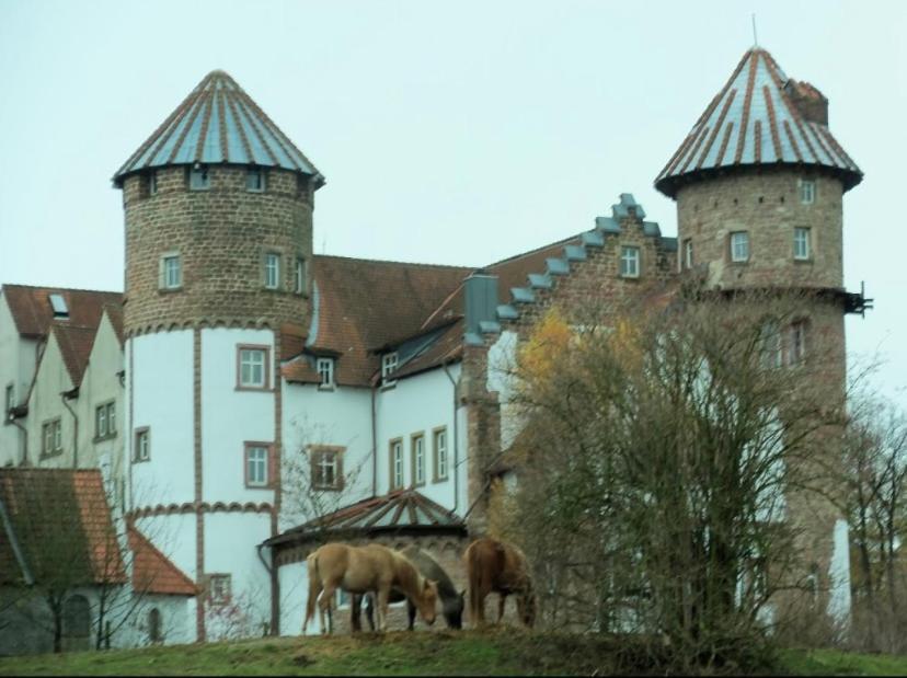 Luxus Appartement Im Schloss Fockelberg Kültér fotó